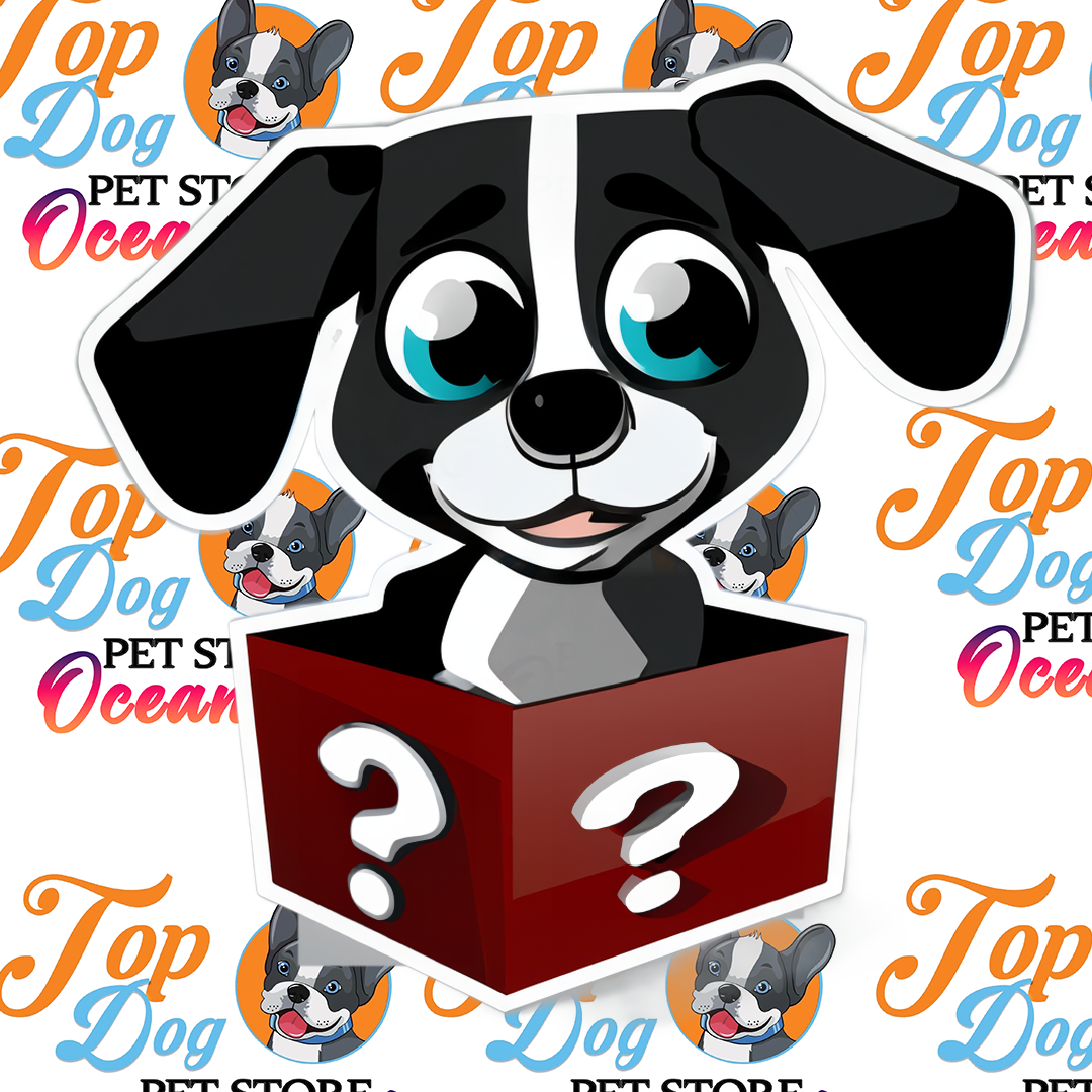 DOG MYSTERY BOX