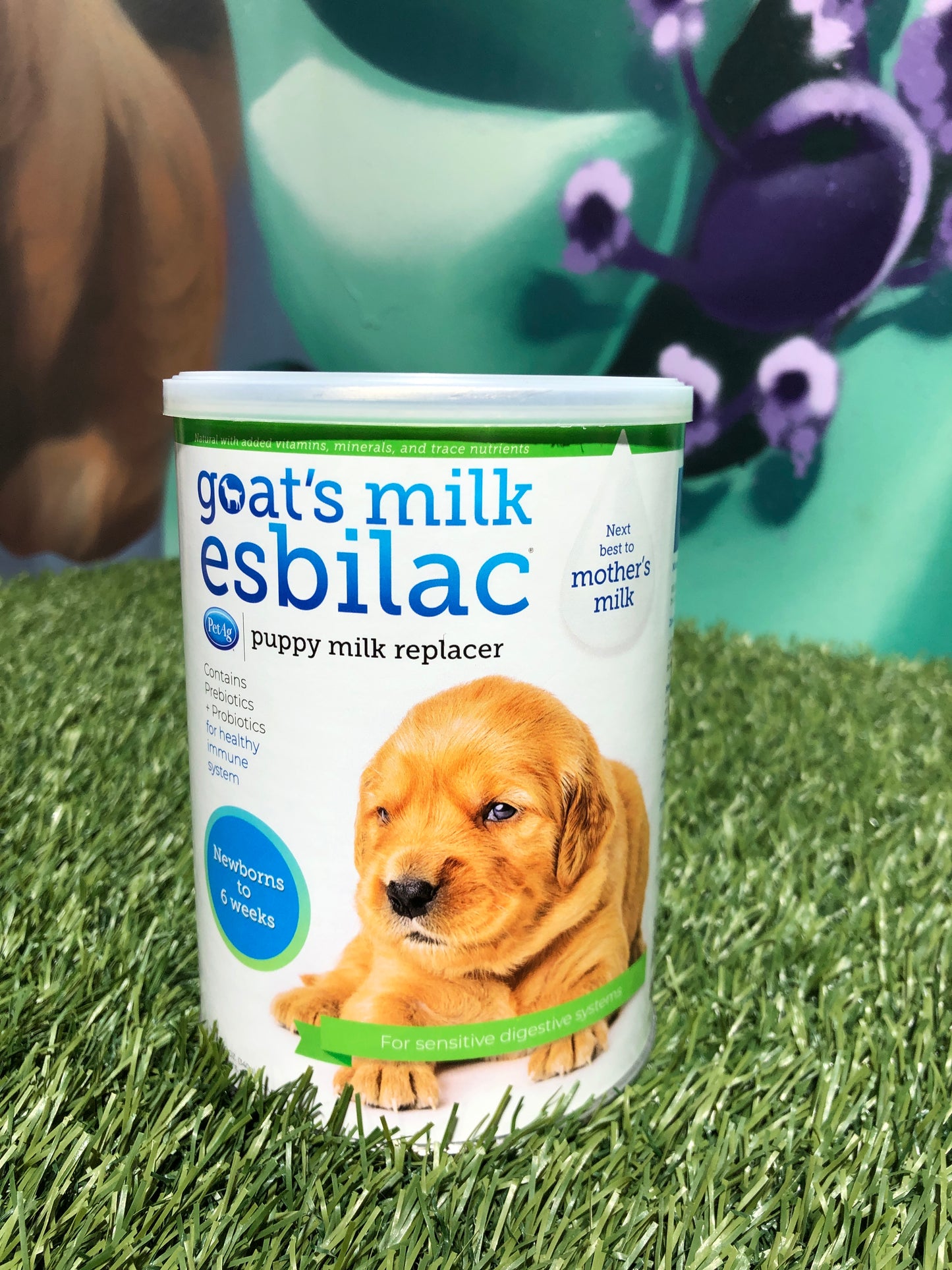 Esbilac Puppy Milk Formula Powder 12oz