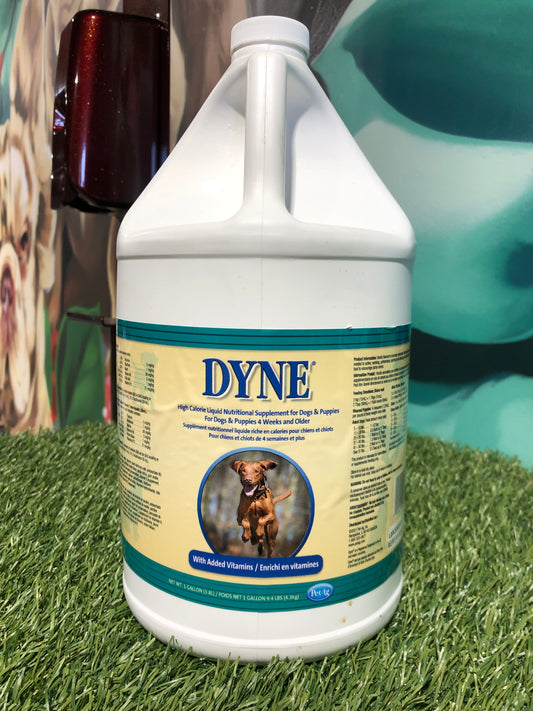 Dyne 1 Gallon