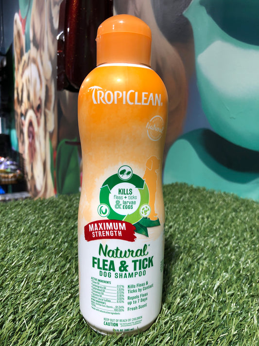 Tropiclean Natural Flea & tick Shampoo