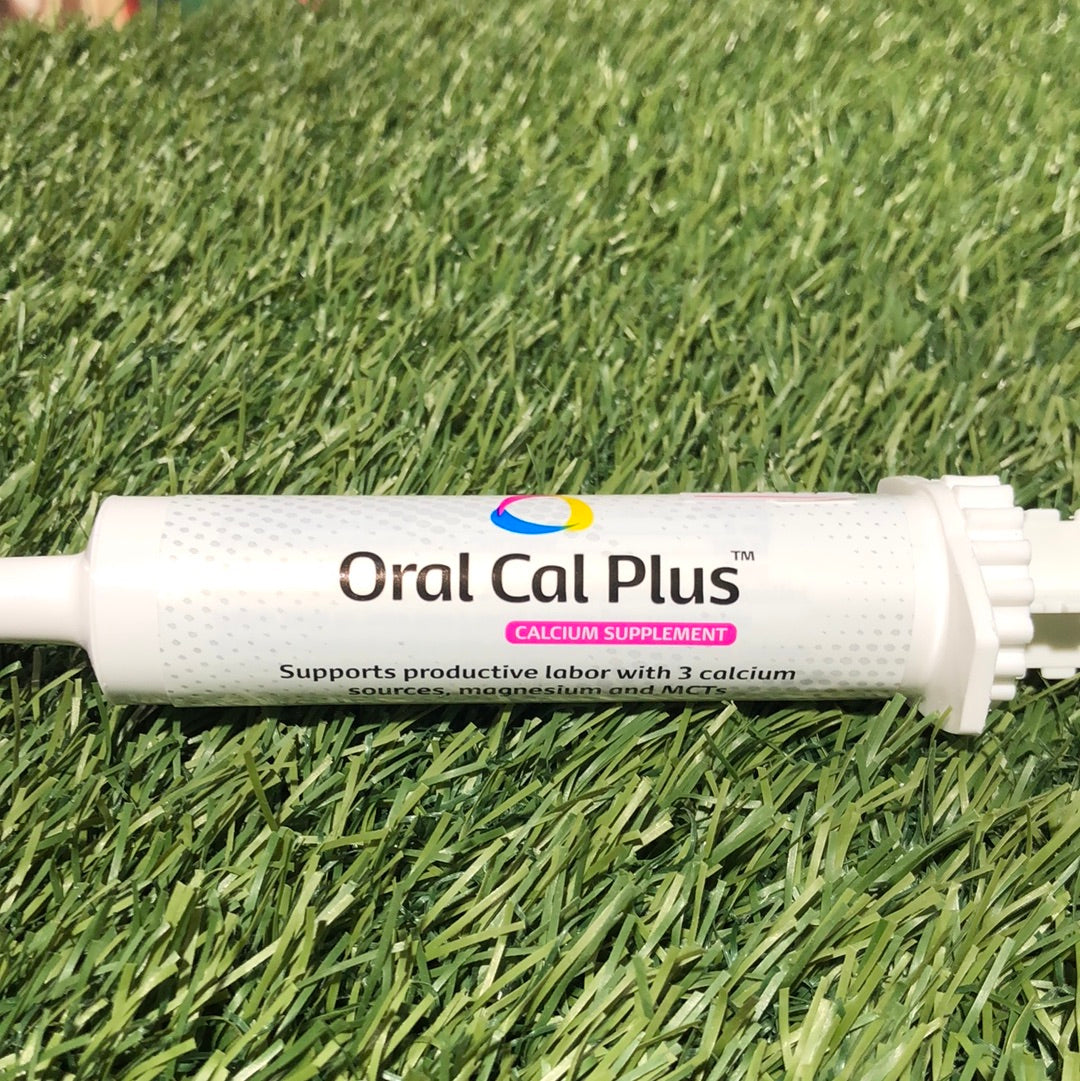 Oral Cal Plus Calcium Supplement 30ml