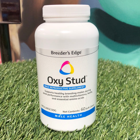 Oxy Stud Male Repo Supplement