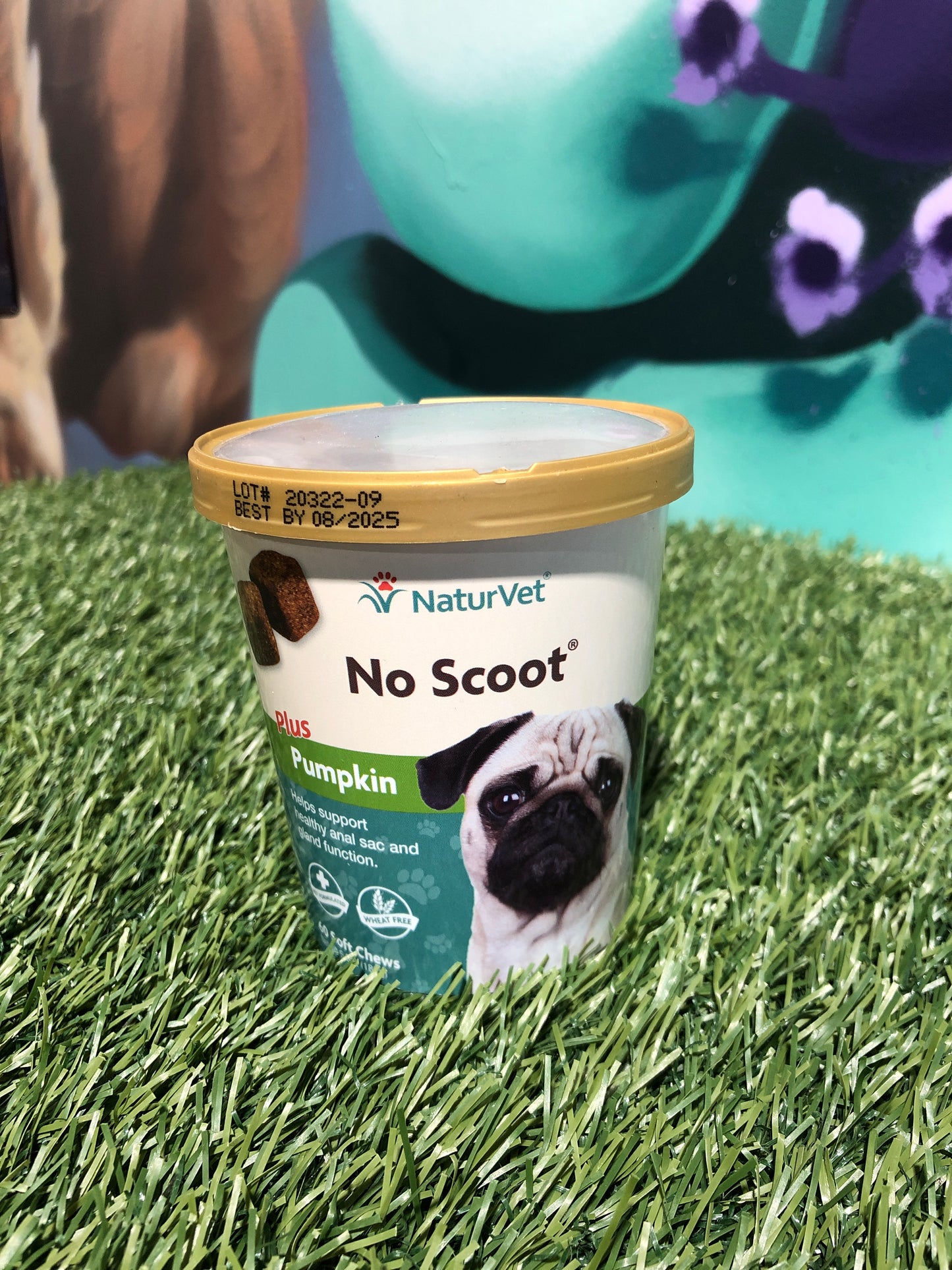 Naturvet No Scoot Chews 6.3oz