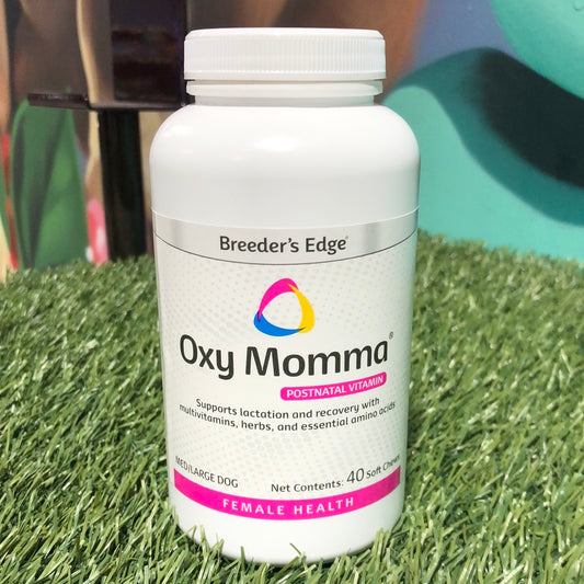 Oxy Momma Postnatal Vitamin