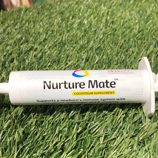 Nurture Mate Colostrum Supplement 30ml