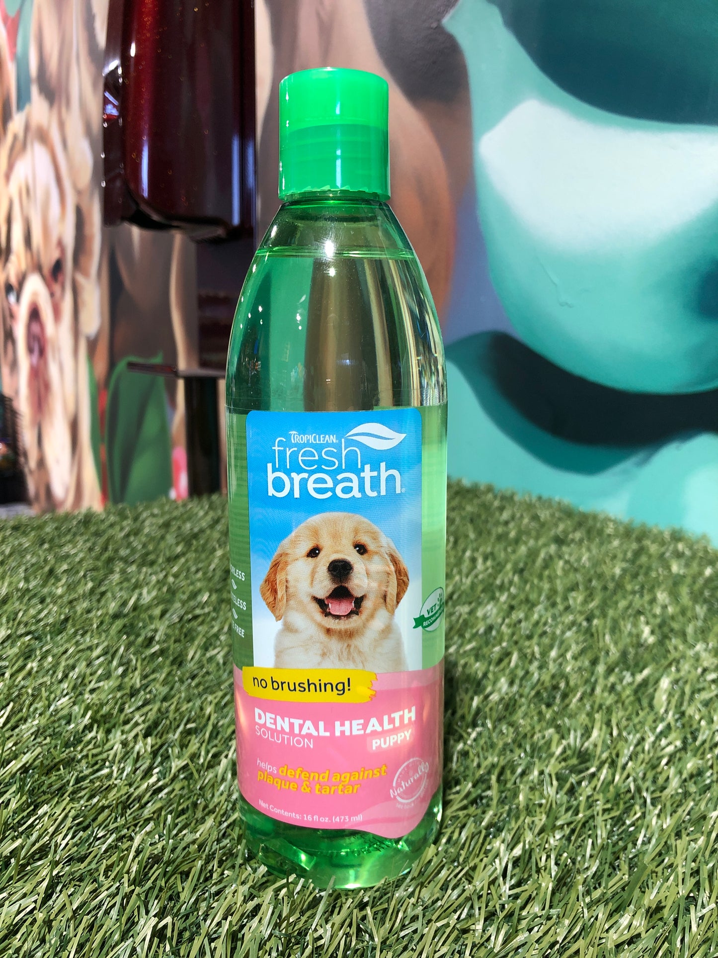 Tropiclean Fresh Breath Dental Health Solution