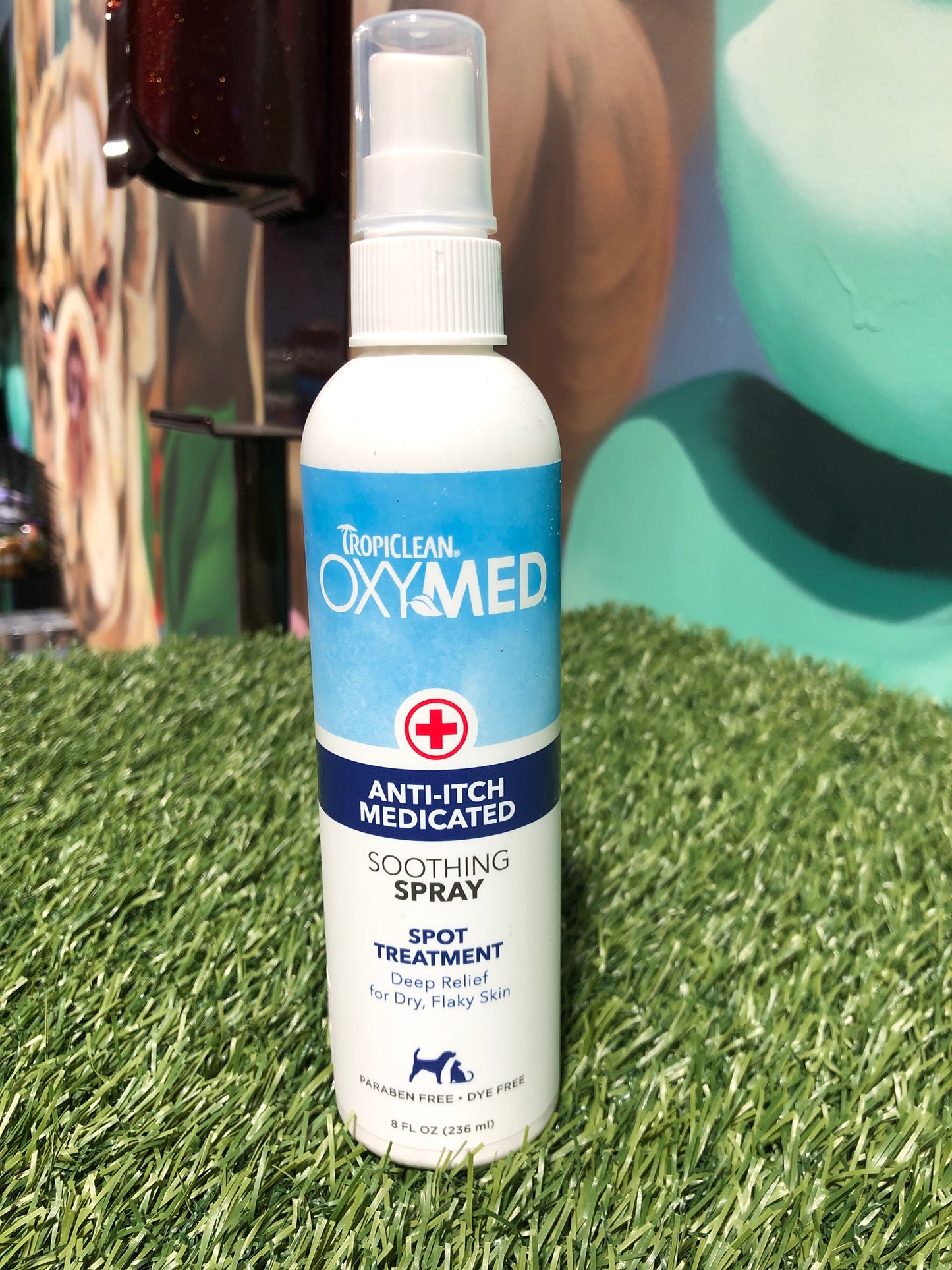 Oxymed Anti Itch Spray