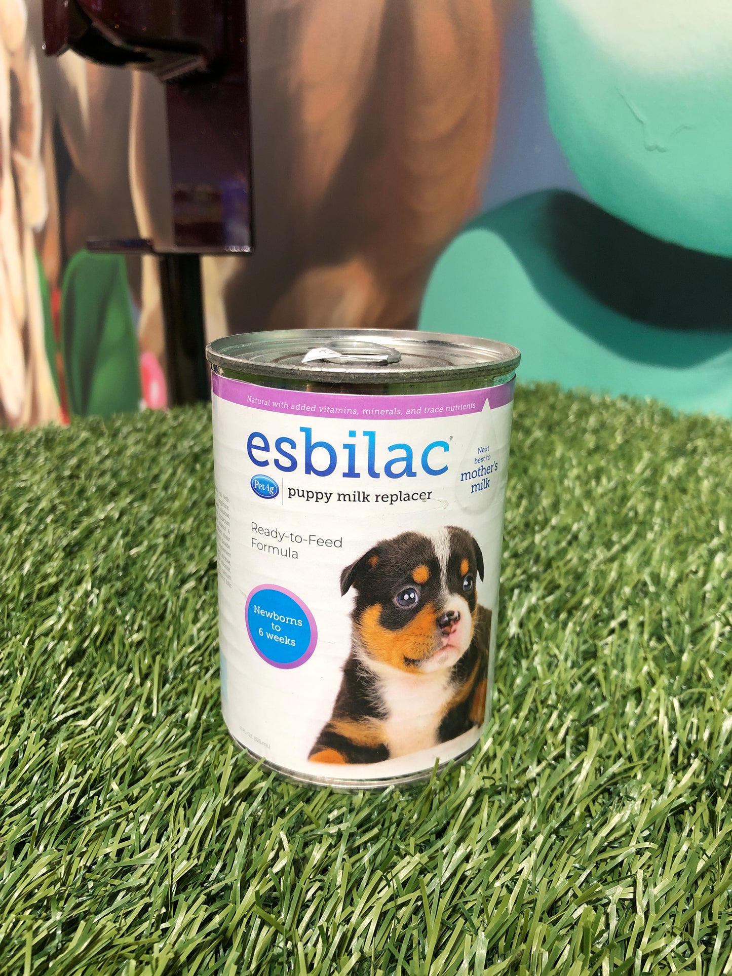 Esbilac Puppy Milk Replacer 11oz Can